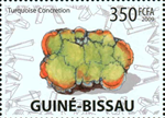 2659bgub09