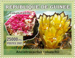 3059agui07 3059agui07