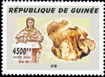 3377GUI06.jpg 3377GUI06.jpg