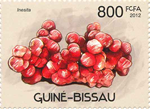 4365GUBI12.jpg 4365GUBI12.jpg