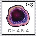 4461GHA13.jpg 4461GHA13.jpg