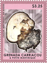 5063GRECA14b.jpg 5063GRECA14b.jpg