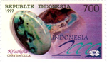1898ind97 1898ind97