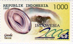 1899ind97 1899ind97