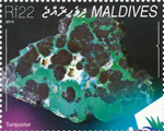 5094MLD14.jpg 5094MLD14.jpg