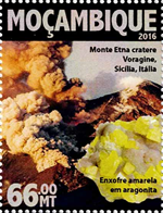 6615MOZ16.jpg 6615MOZ16.jpg