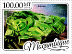 6628MOZ16.jpg 6628MOZ16.jpg