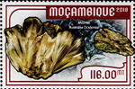 7511MOZ18.jpg