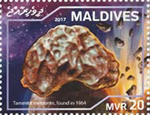 5632MLD17.jpg 5632MLD17.jpg