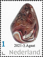 7297NED21.jpg 7297NED21.jpg