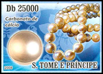2142cSTP08.jpg
