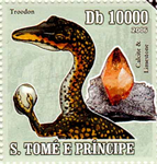 2144fSTP06.jpg