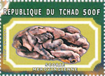 1319dtch01 1319dtch01