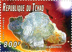 853dtcd98.jpg
