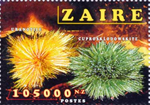 1710aZAI96.jpg