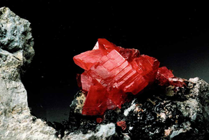 Cart_032ITA09.jpg