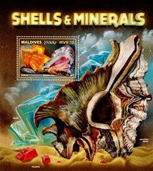 7829MLD17.jpg 7829MLD17.jpg